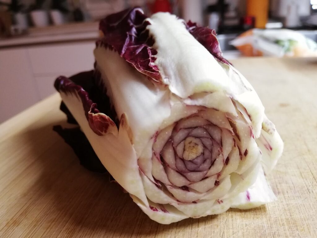 B cucina radicchio lungo precoce